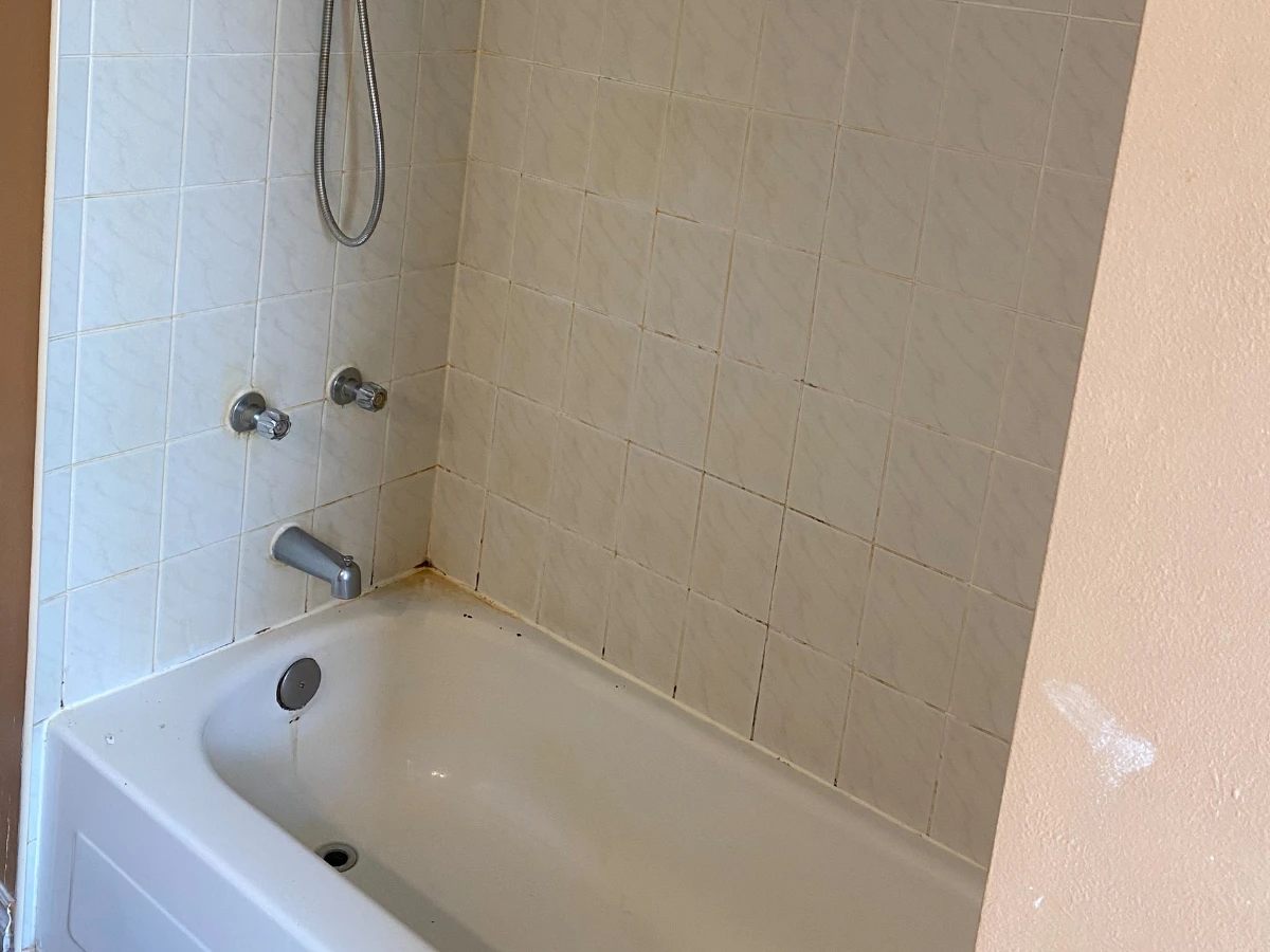 Bathroom, Hallway & Window Renovation1