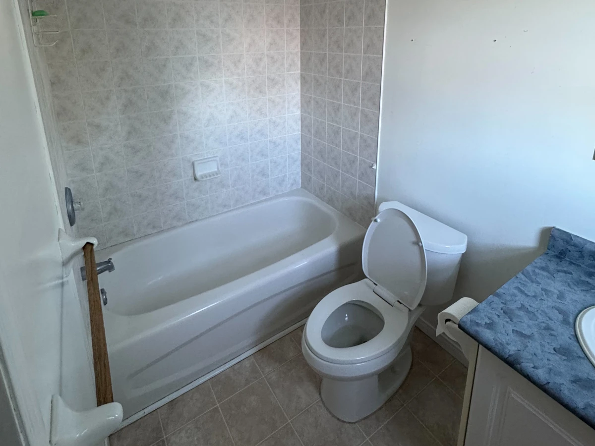 Bathroom Renovation Wilson Cres Dundalk ON (3)